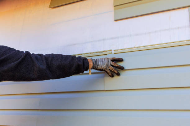 Best Insulated Siding Installation  in Honolulu, HI